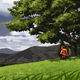 Illustration for article titled Its Time For Konami To Bring emSuikoden II/em To PSN